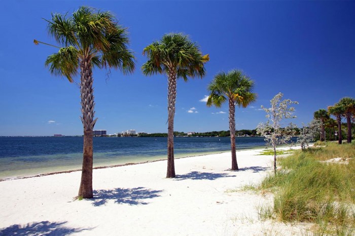 Hobie Island Beach Park or Windsurfer Beach