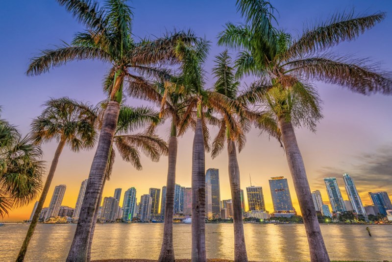 Get to Know All of Miami’s Best Neighborhoods