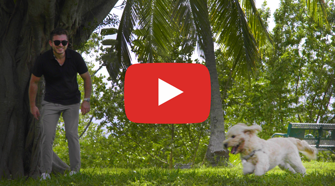 Video: The Most Dog-Friendly Neighborhoods in Miami
