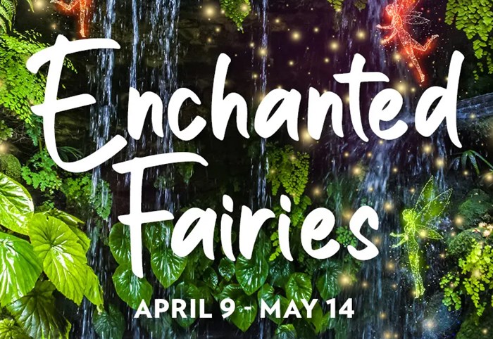 Enchanted Fairies at the Fairchild: April 9 – May 14