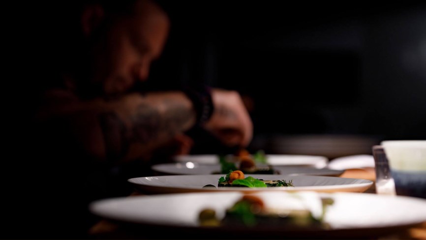 Ariete, Coconut Grove