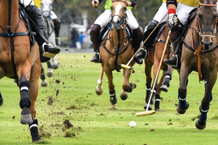 1. Miami is a Global City of Choice (World Polo)