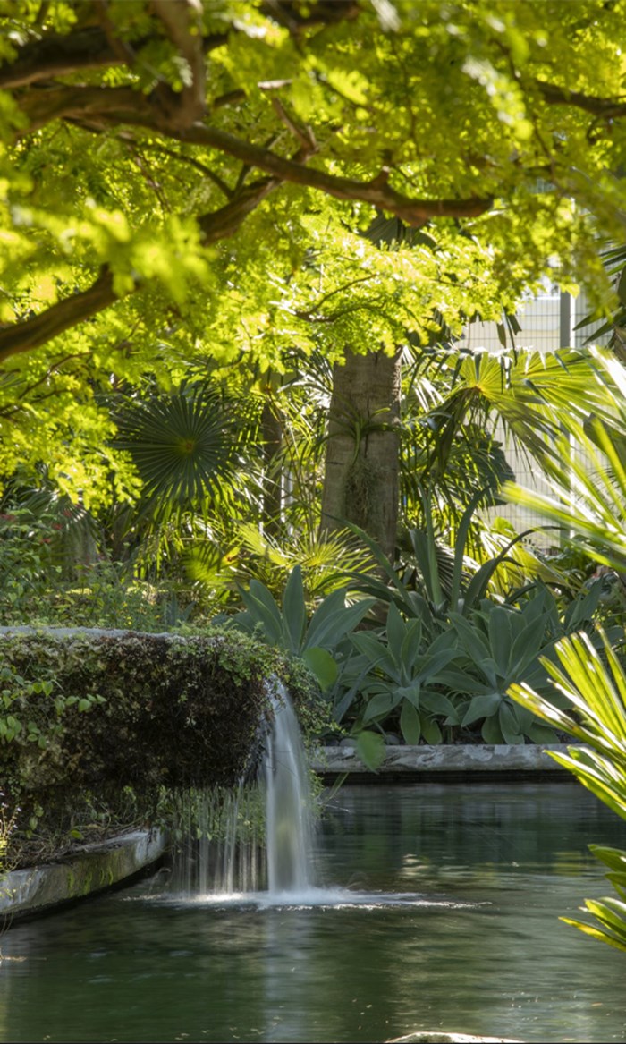 Raymond Jungle - Miami Beach Botanical Gardens