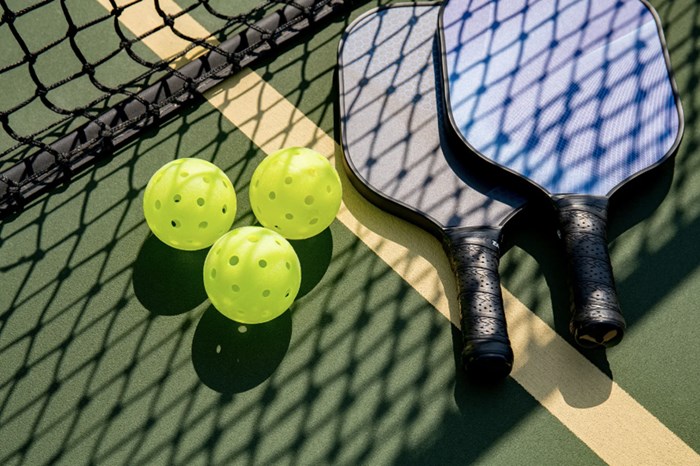 Pickleball paddles