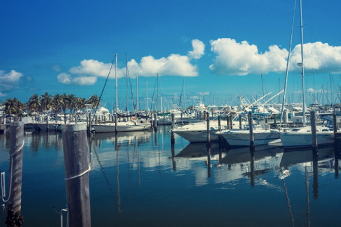Coconut Grove Marina